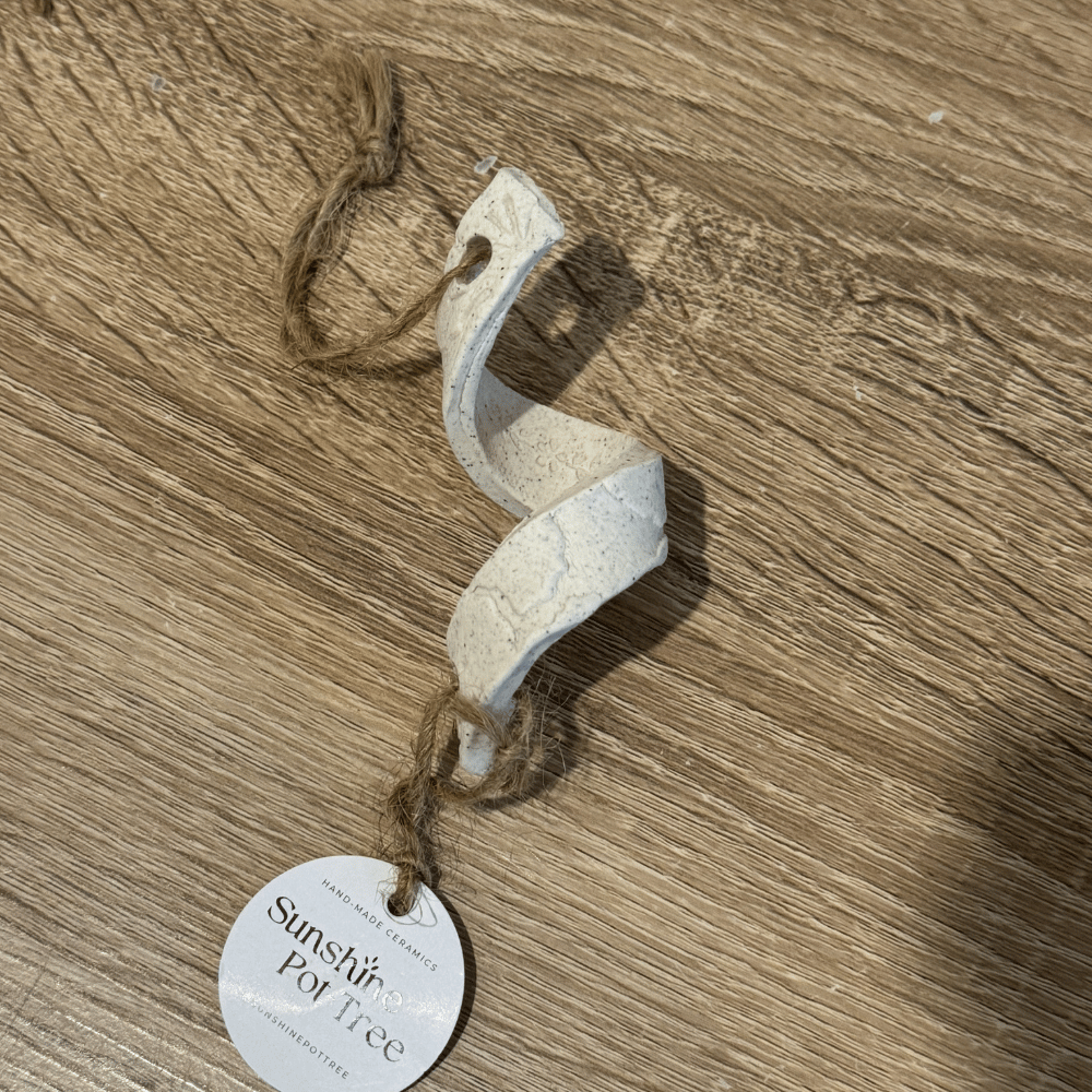 hand made ceramic air plant swirl by Sunshine Pottree - Australian Pottery