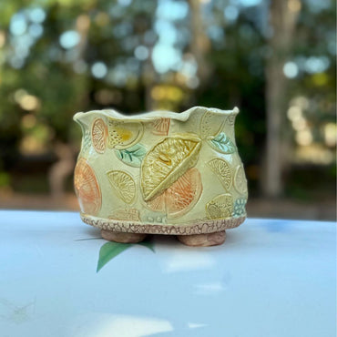 Citrus Splash Footed Planter