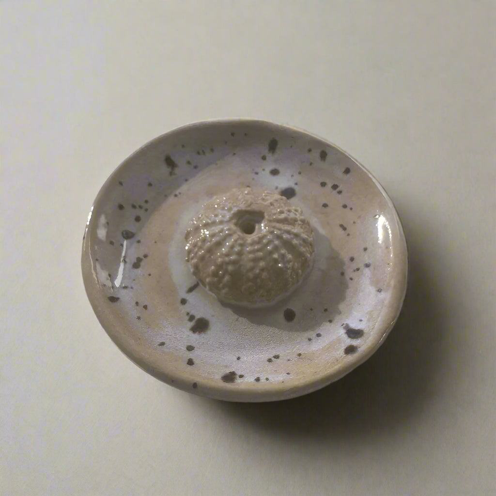 Urchin Shell Incense Holder