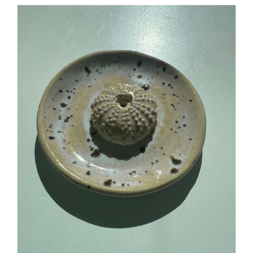 Urchin Shell Incense Holder