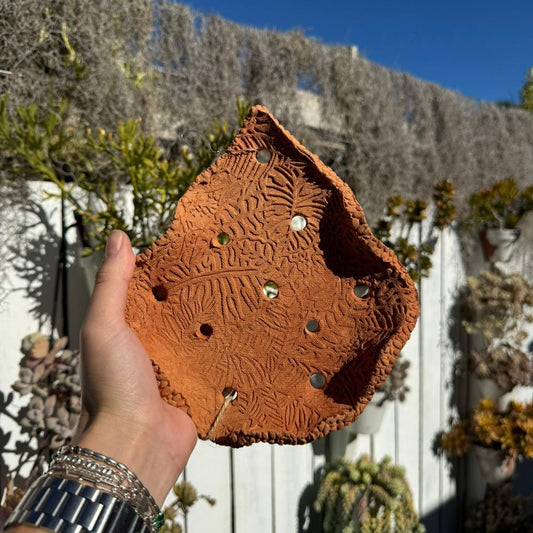 Leafy Terracotta Air Plant Holder | Orchid Hanger