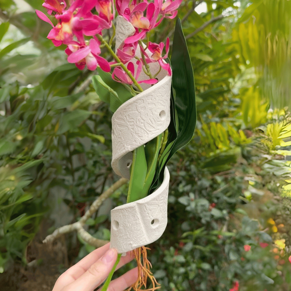 Orchid Wrap Twirling Ceramic Airplant Hanger