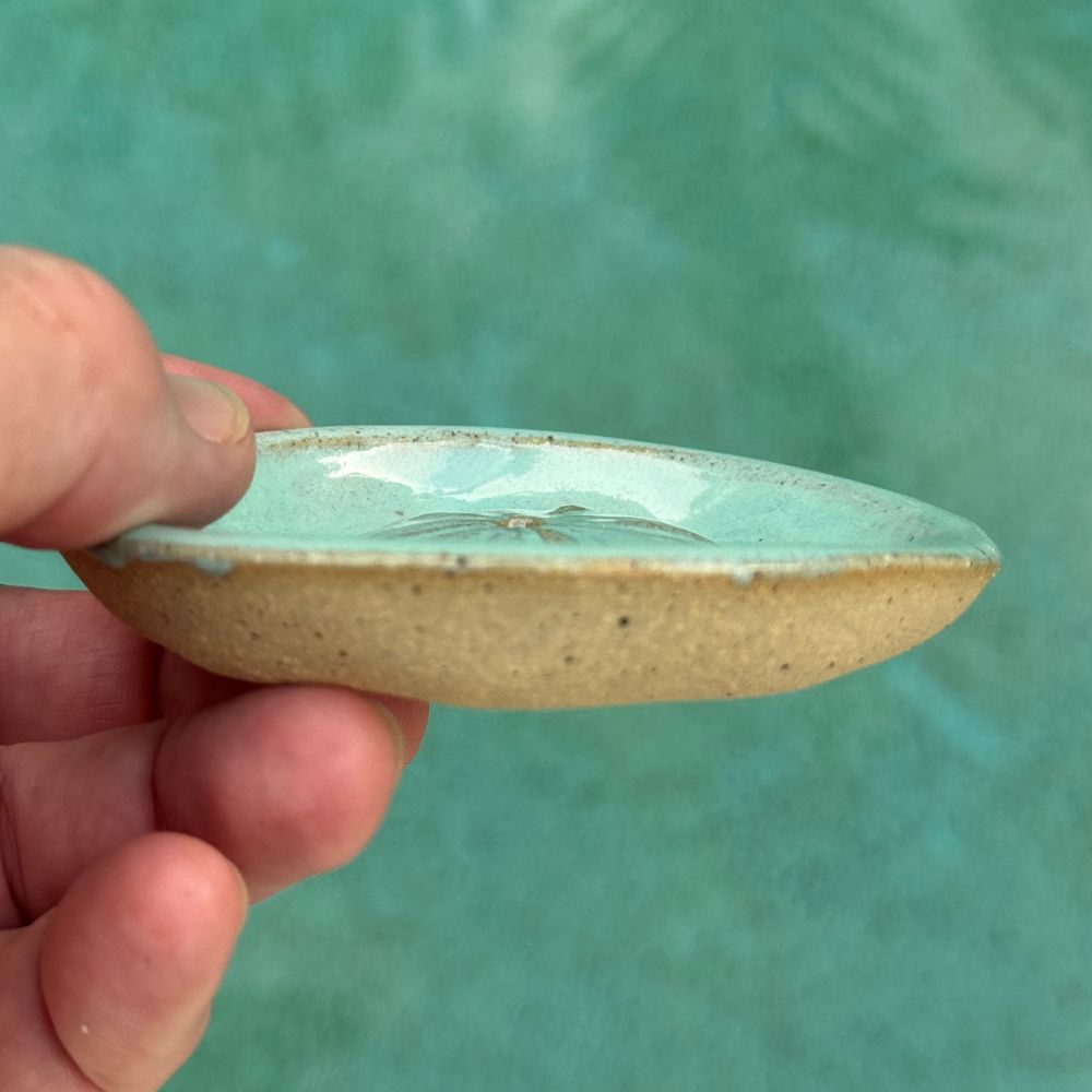 Hand holding a small turquoise ceramic incense holder with sand dollar center against a teal background