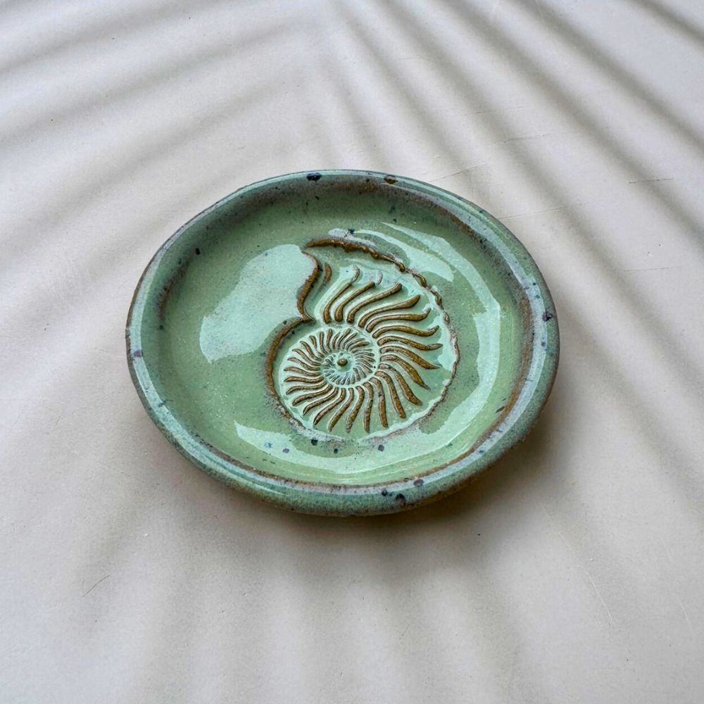 Green ceramic dish with shell design on a beige surface