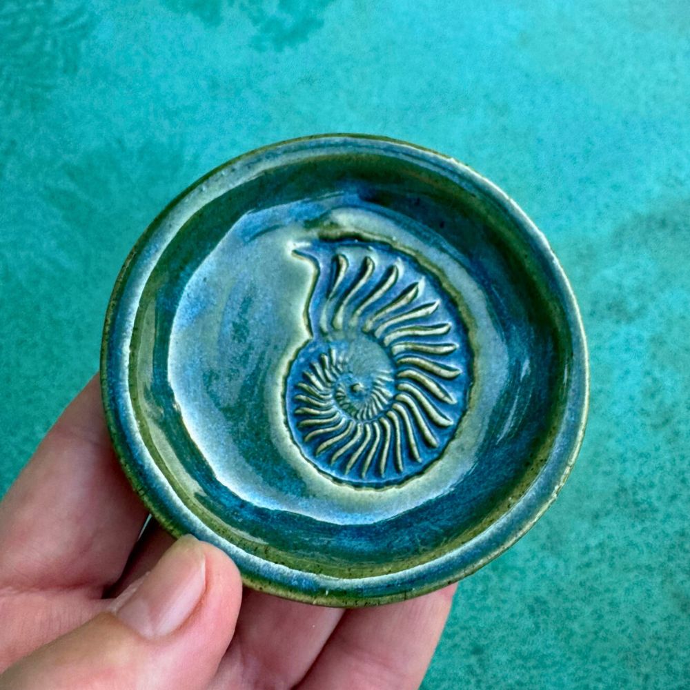 nautillus imprint on ceramic trinket ring dish