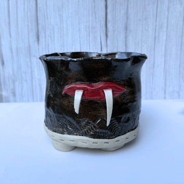 black succulent pot with fangs planter