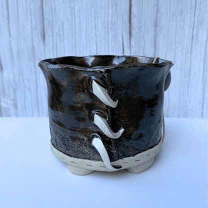 black succulent pot with fangs planter
