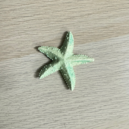 Green Starfish Ornament Decoration with textured surface on light wood background, ideal for aquarium or coastal-themed home decor.