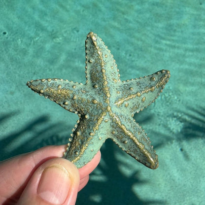 Starfish Ocean Ceramic Ornaments