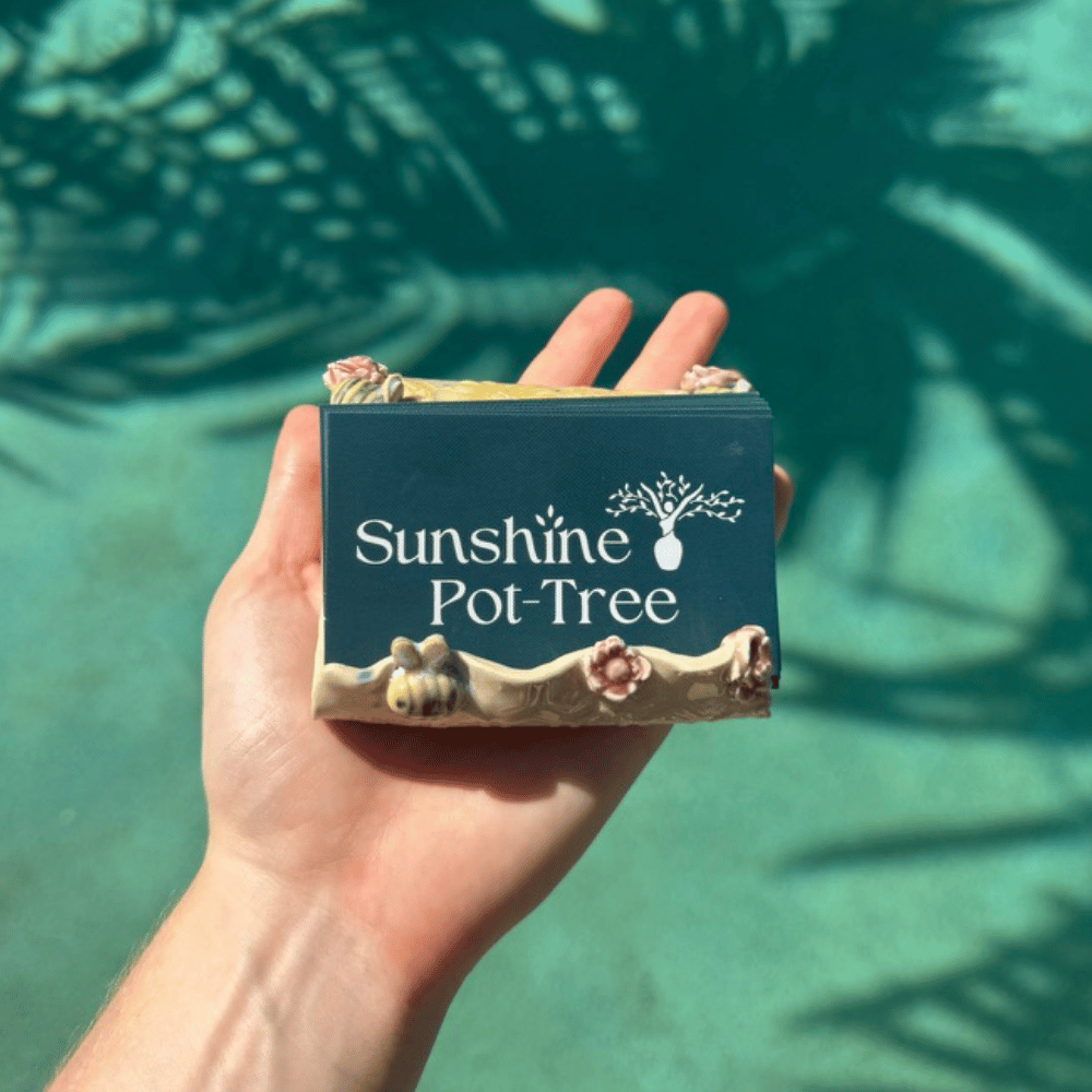 Hand holding a business card holder business cards 'Sunshine Pot Tree' against a green leafy background.
