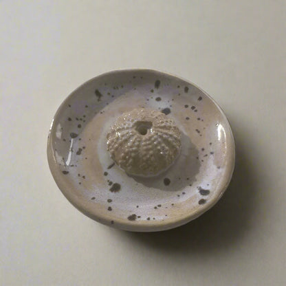 Urchin Shell Incense Holder