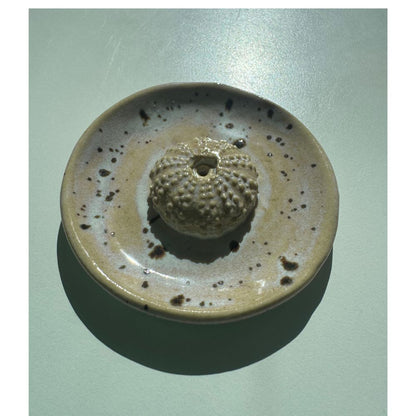Urchin Shell Incense Holder