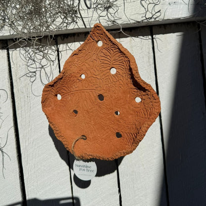 Leafy Terracotta Air Plant Holder | Orchid Hanger
