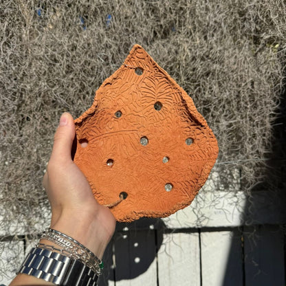 Leafy Terracotta Air Plant Holder | Orchid Hanger