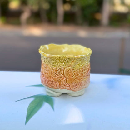 Decorative ceramic pot with textured rose design on a light surface