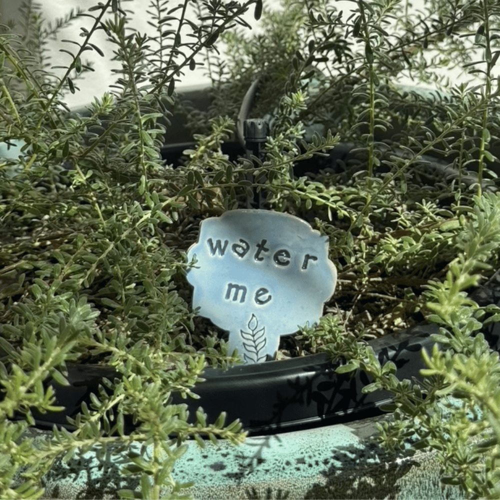 mini ceramic plant marker for indoor plants. Sunshine Pot-Tree
