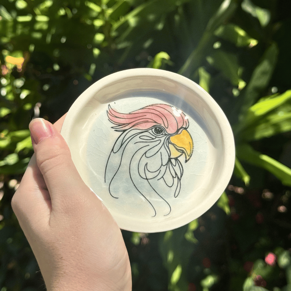 Hand holding a small round trinket dish with a cockatoo design against a green leafy background
