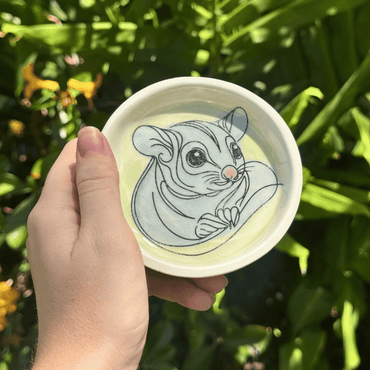 Hand holding a trinket dish with a sugar glider illustration against a green leafy background