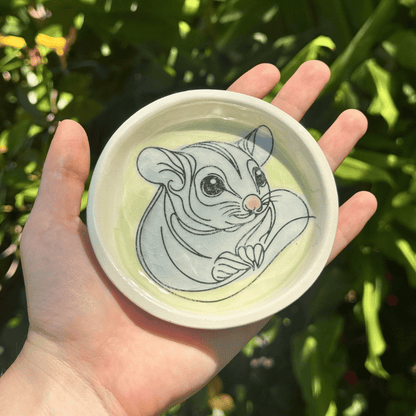 Hand holding a trinket dish with a sugar glider illustration against a green leafy background
