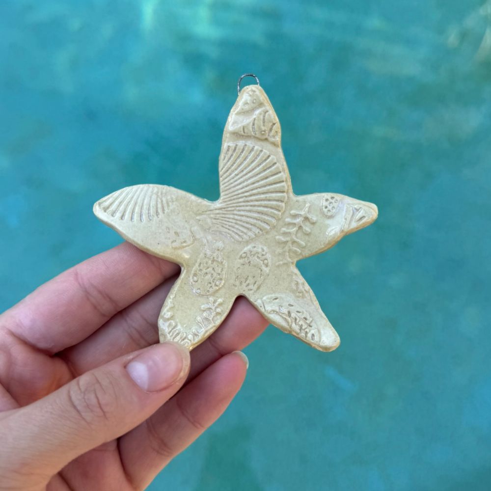 sandy ceramic starfish - hanging decorations