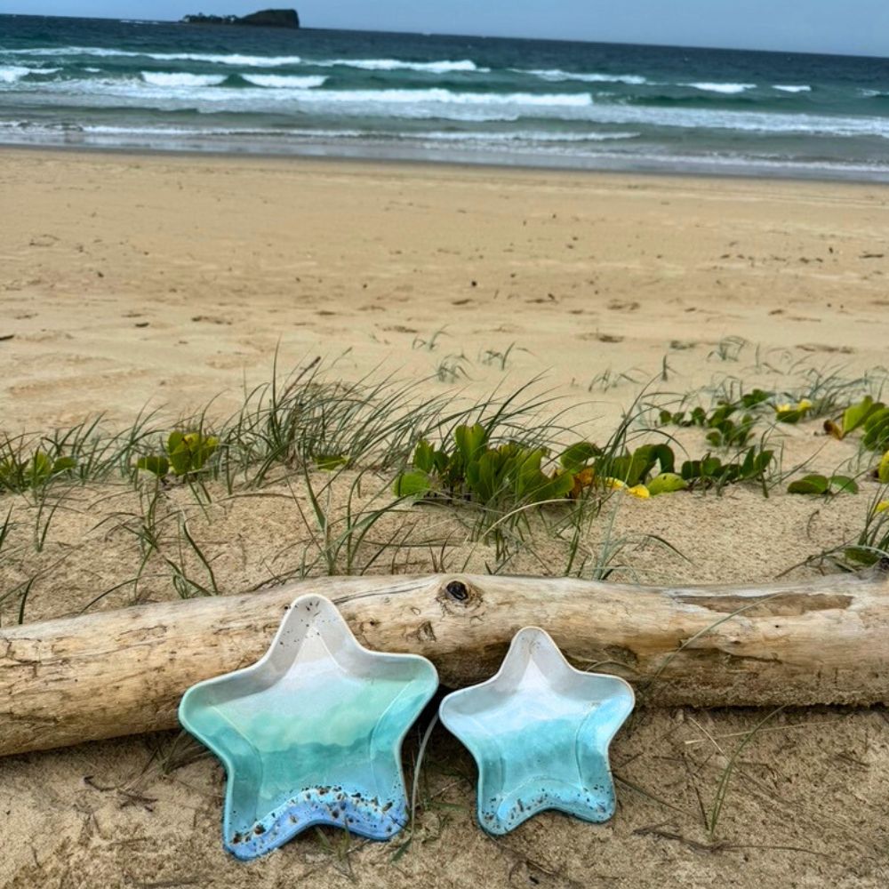 Two star-shaped blue objects on a sandy beach with grass and a log.