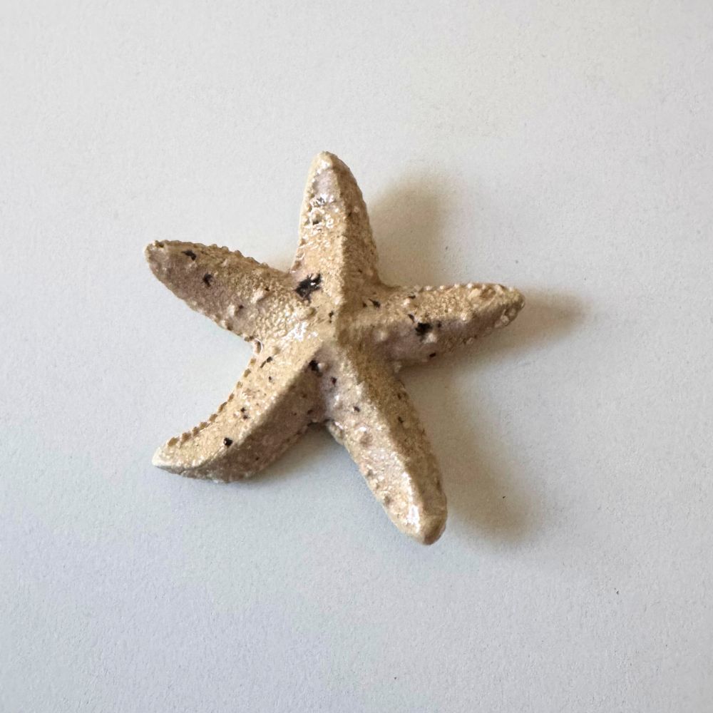 Starfish on a light gray background