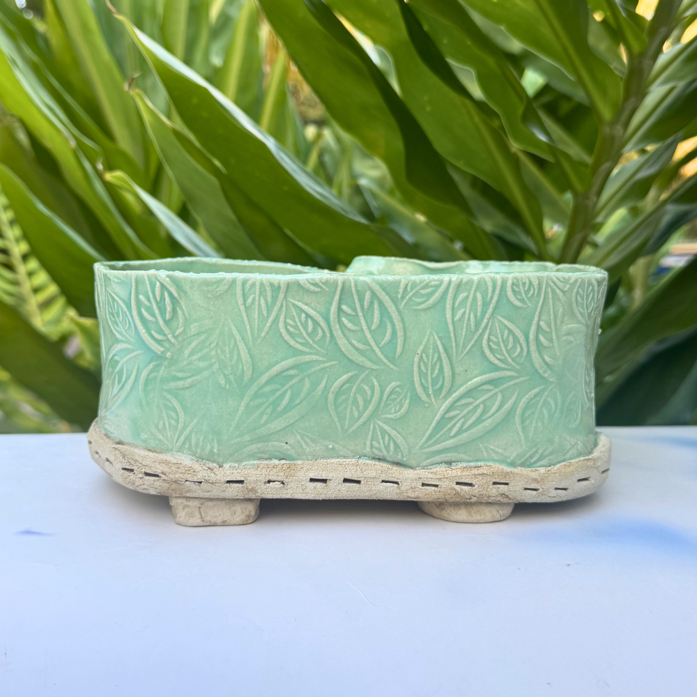 succulent planter shallow pot Sunshine Coast pottery