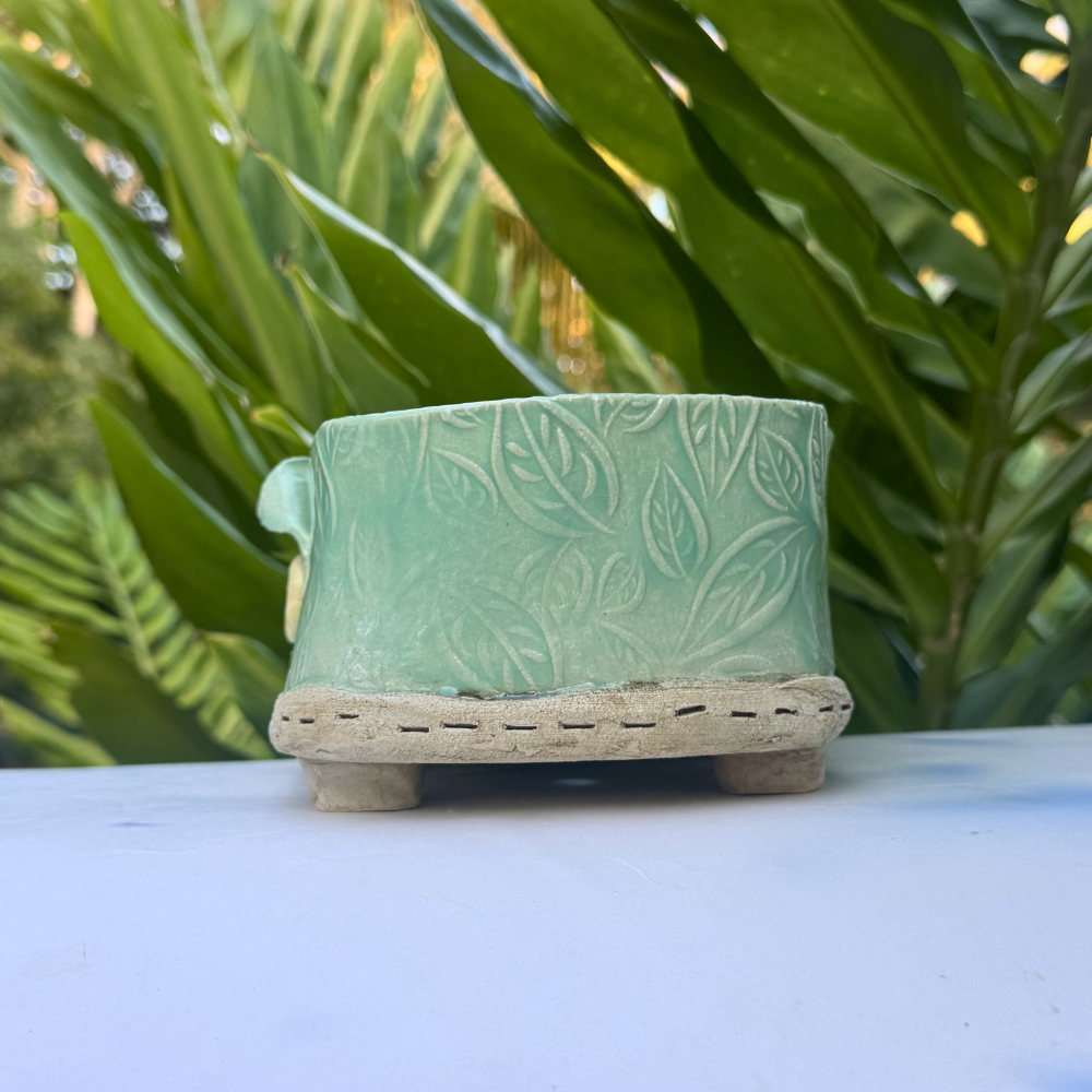 green ceramic plant pot low profile bonsai dish