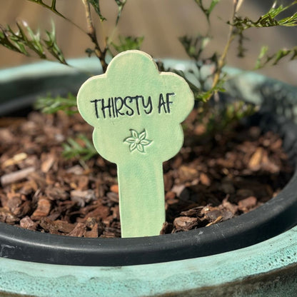 Green plant marker with 'THIRSTY AF' text in a pot with soil