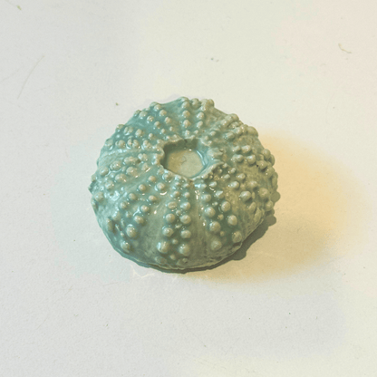 Urchin Sea Shell Decorations