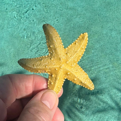 Starfish Ocean Ceramic Ornaments